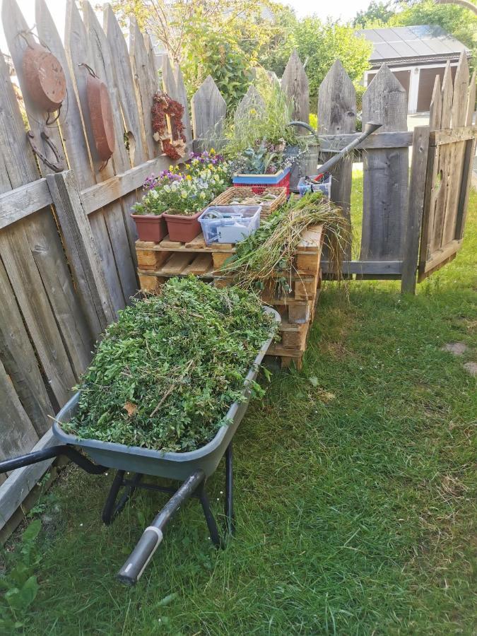 Gartenwohnung Paulsdorf Dippoldiswalde Esterno foto