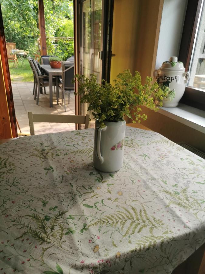 Gartenwohnung Paulsdorf Dippoldiswalde Esterno foto