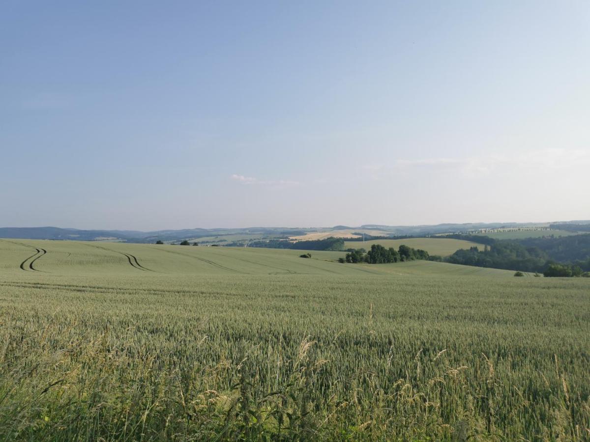 Gartenwohnung Paulsdorf Dippoldiswalde Esterno foto