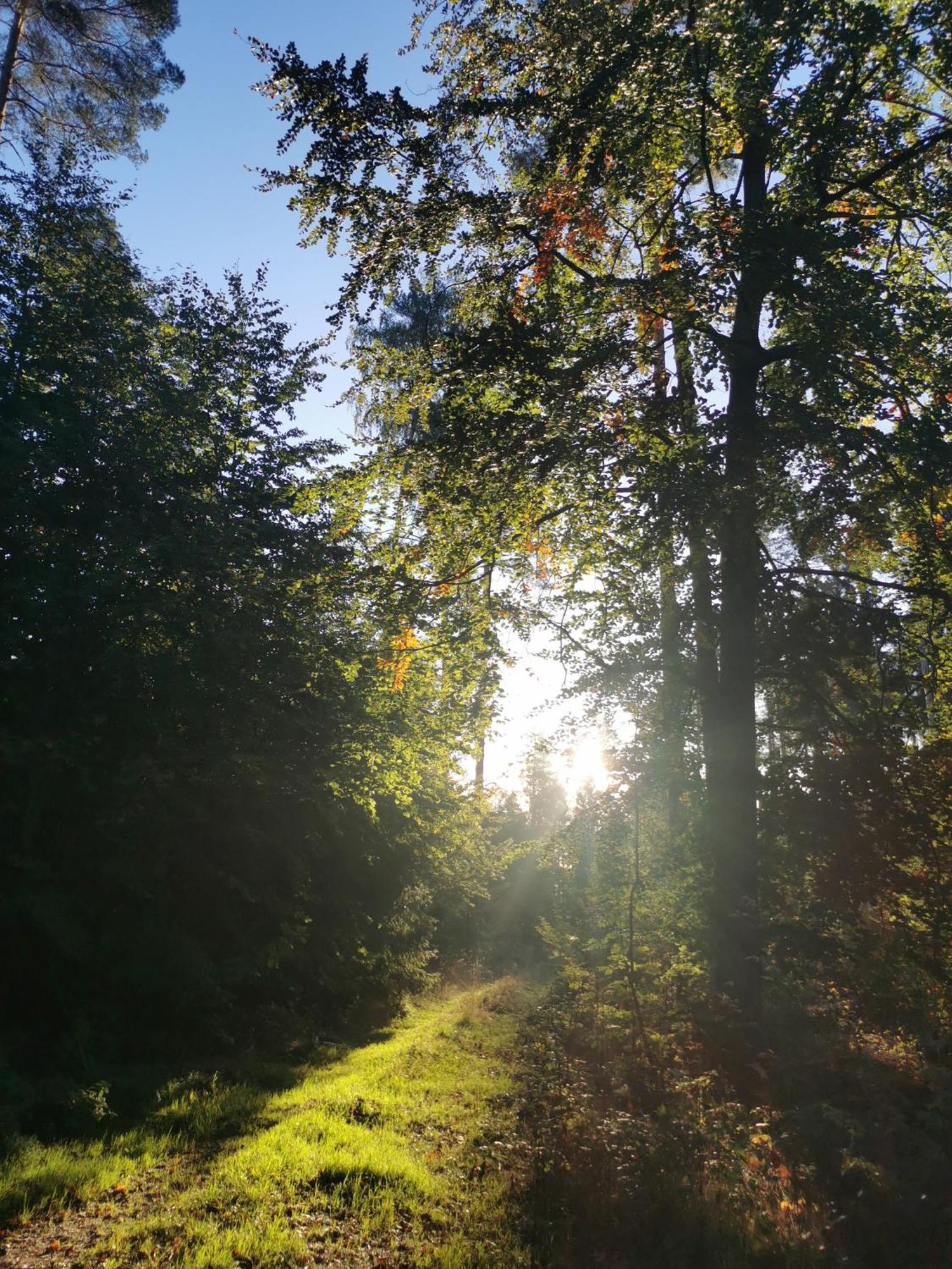 Gartenwohnung Paulsdorf Dippoldiswalde Esterno foto